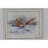 James Stinton (1870-1961) pair of watercolours- Pheasants in snow 12.5cm x 16.5cm