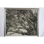 Patricia Tobacco Forrester (1940-2011) signed artist's proof etching - The Ekman Tree, circa 1970, i