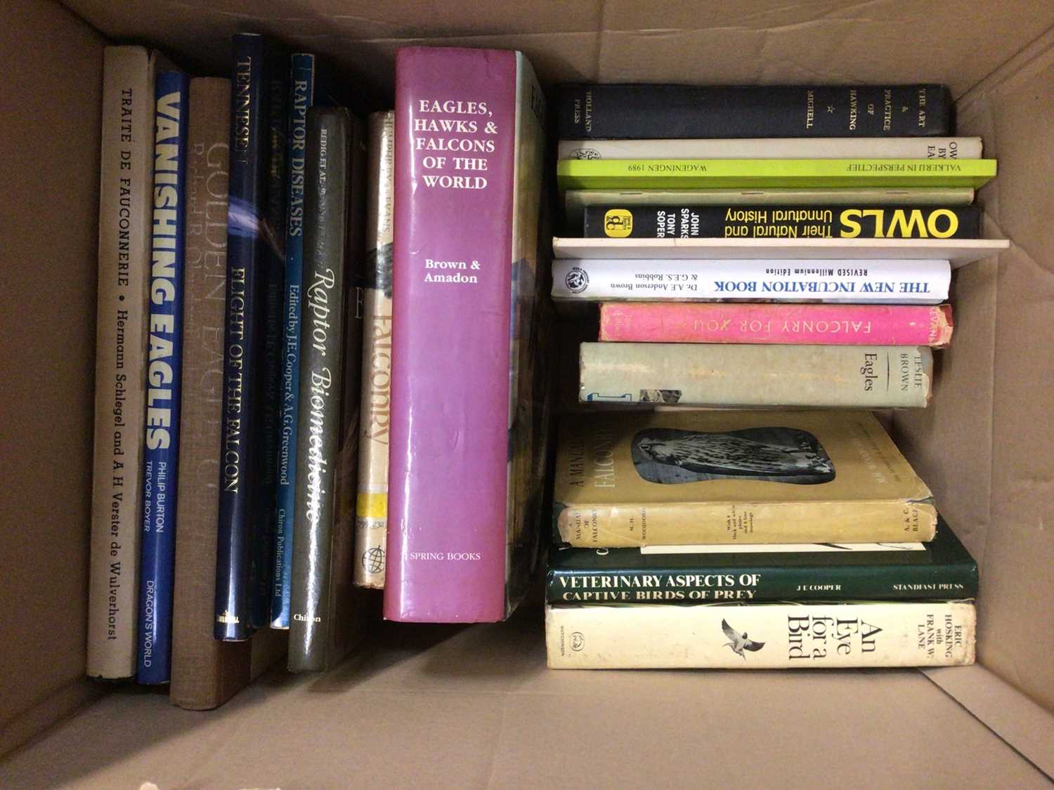 A box of books relating to falconry