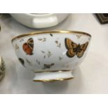 Early 19th century French (possibly Paris) porcelain bowl decorated with insects and butterflies