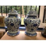 Pair of Chinese blue and white baluster vases