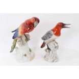 Capodimonte figure of a parrot, together with a further ceramic figure of a woodpecker, the parrot m
