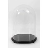 Victorian glass dome on ebonised stand with four bun feet, measuring 40cm high in total