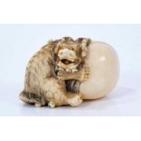 A Japanese ivory netsuke, in the form of a shi- with a large tarma