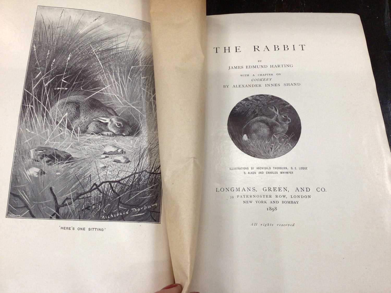 The Fur and Feathers series, large paper edition limited to 150 copies, Longmans Green & Co. 1896, s - Image 5 of 16