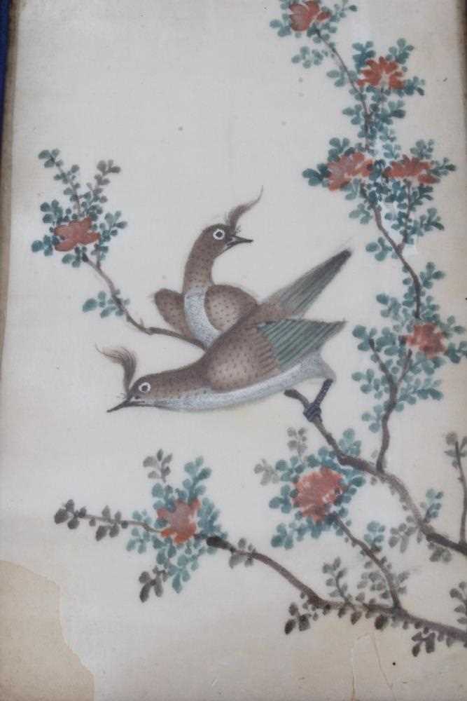 Set of six early 20th century Chinese pith paintings of exotic birds in glazed period Rowley frames - Image 4 of 8