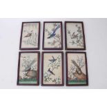Set of six early 20th century Chinese pith paintings of exotic birds in glazed period Rowley frames