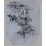 George Frost (1745-1821) black chalk study - An Elm Tree, 17.5cm x 14cm, in glazed gilt frame Prove