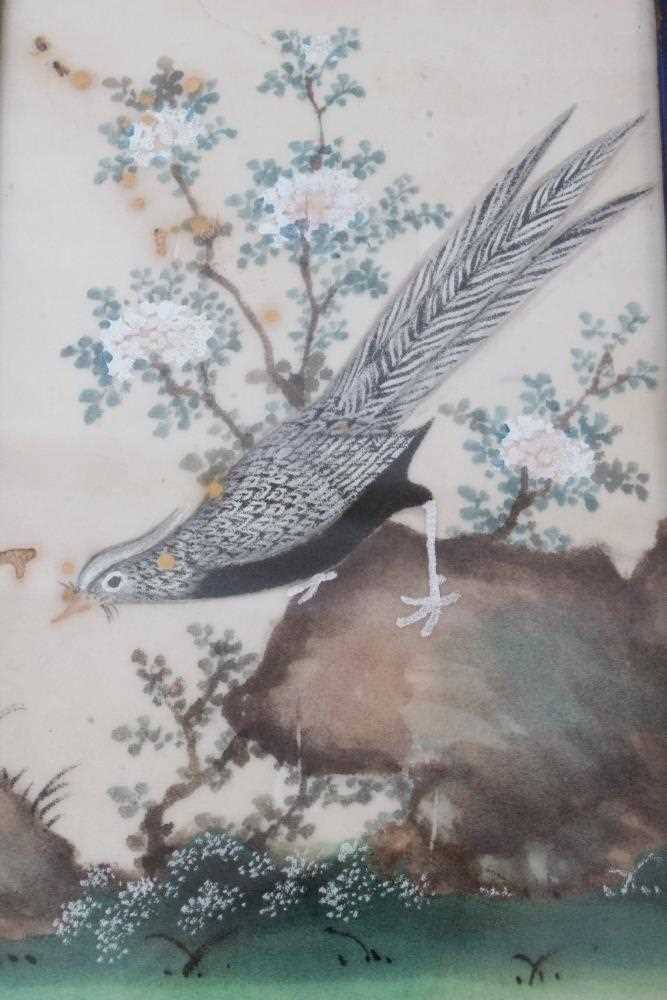 Set of six early 20th century Chinese pith paintings of exotic birds in glazed period Rowley frames - Image 5 of 8