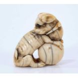 A Japanese ivory netsuke, in the form of a shi-shi with a ball
