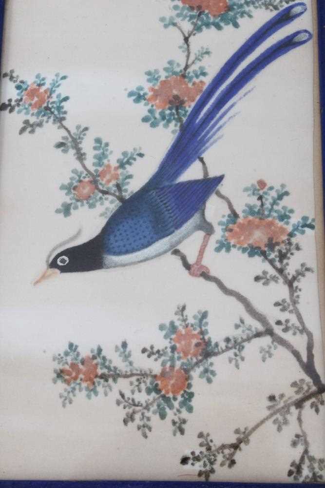 Set of six early 20th century Chinese pith paintings of exotic birds in glazed period Rowley frames - Image 3 of 8