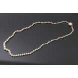 Cultured pearl necklace with 9ct gold clasp