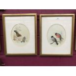 Harry Bright (1846-1895) pair of watercolours - finches and a bluetit on winter branches, signed and