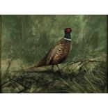 Peter Merrin (Contemporary) oil on board Pheasant