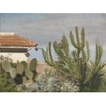 Denise Williams oil on canvas - Cacti, signed, 40.5cm x 30.5cm, unframed