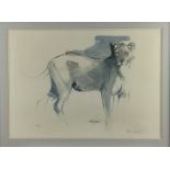 Set of four Keith Joubert limited edition prints of South African Wildlife to include Lion, Lioness,