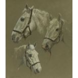 Andrew Haslen (b. 1953) gouache, horse studies