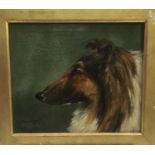 E M Nelson (late 19th / early 20th century) oil on canvas, head of a dog