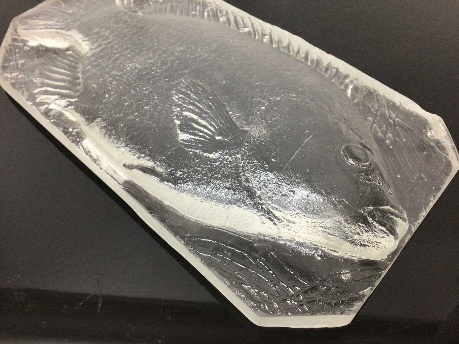 Unusual moulded frosted glass fish plaque, with canted corners, 28cm across - Image 2 of 3