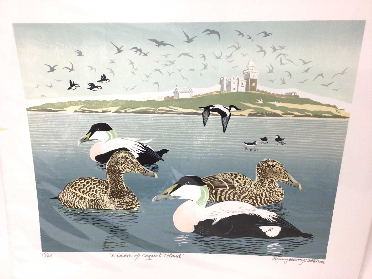 Penny Berry Paterson (1941-2021) colour linocut, Eiders off Coguet Island, signed, titled and number