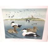 Penny Berry Paterson (1941-2021) colour linocut, Eiders off Coguet Island, signed, titled and number