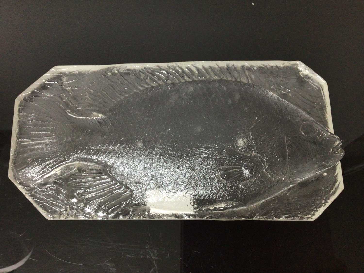 Unusual moulded frosted glass fish plaque, with canted corners, 28cm across