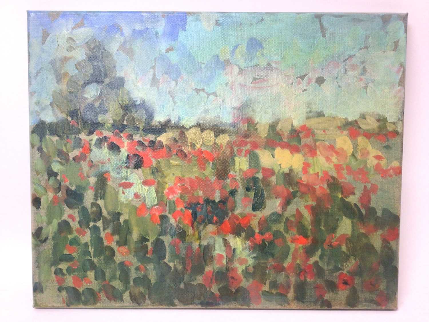 Annelise Firth (b.1961) oil on canvas - Poppy Field, signed and dated 2021 verso, 40cm x 50cm, unfra