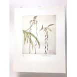 Dame Elizabeth Blackadder (1931-2021) signed limited edition coloured etching - Orchids, 22/40, unfr