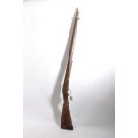 Mid 19th century two band Enfield type musket