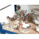 Collection of Goebel porcelain bird ornaments