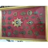 Victorian Essex Regiment Officers' Helmet plate together with a collection of Essex Regiment and Ess