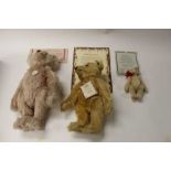 Three Steiff teddy bears - Teddy Rose, Snap - a- part- Teddy Bear 1908 and British Collector's 1906