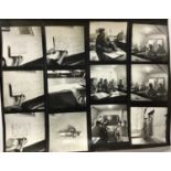 Pamela Chandler (1928-1993) archive of photographs, negatives and contact sheets relating to the RA