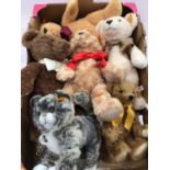 Steiff bears 113321, 113475, 113536, 113376, 2018 Royal Wedding, Cat 099335,