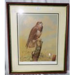 †David Andrews: a framed large signed limited edition coloured print study of buzzard