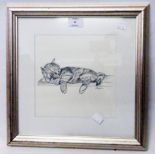 A framed monochrome print, depicting a kitten sleeping on a shelf