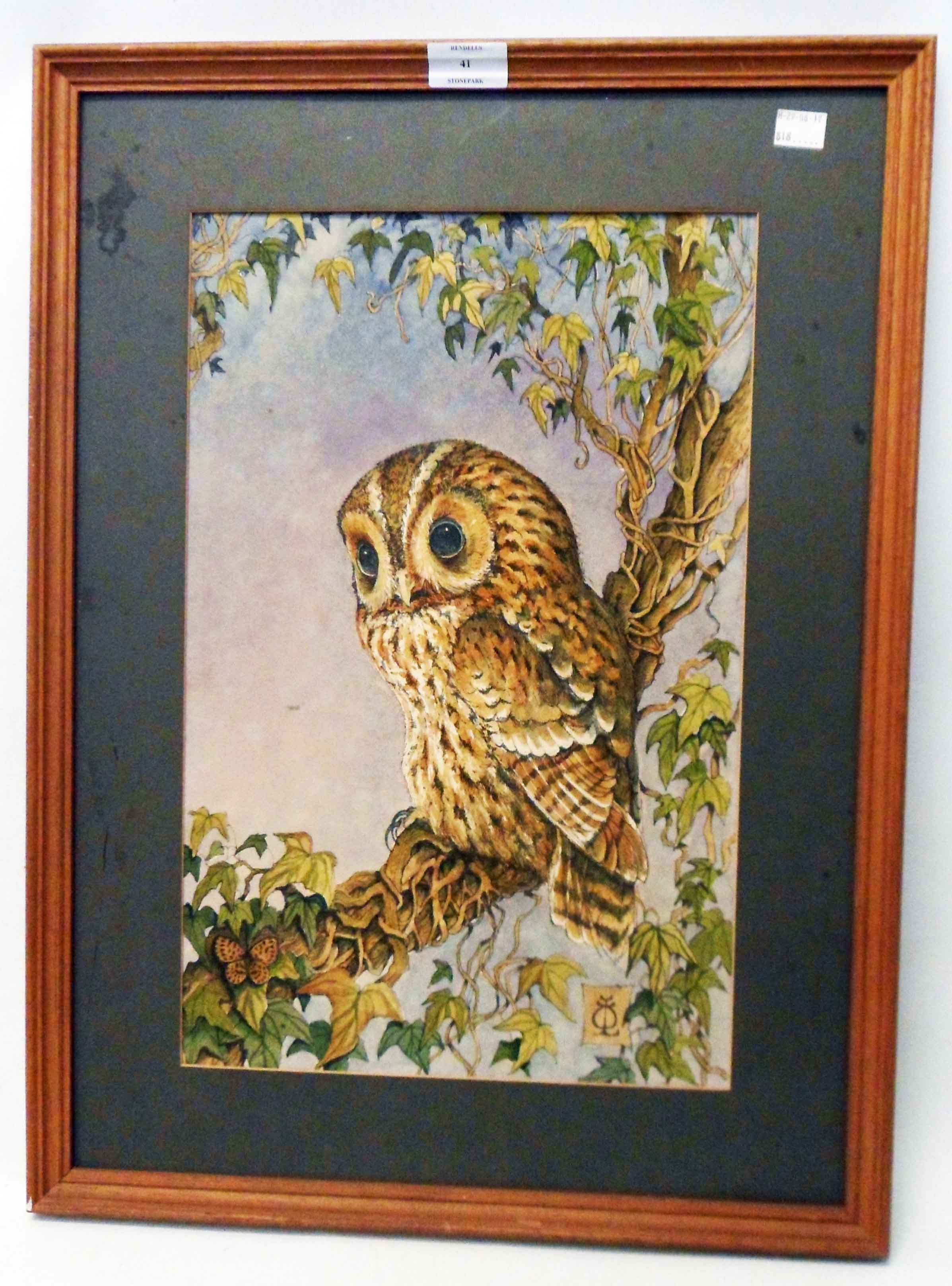 A framed mixed media drawing study of a perching owl - signed with monogram