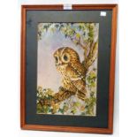 A framed mixed media drawing study of a perching owl - signed with monogram