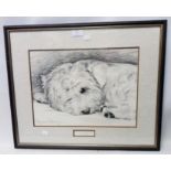 †Pollyanna Pickering: a framed monochrome print study of a West Highland white terrier