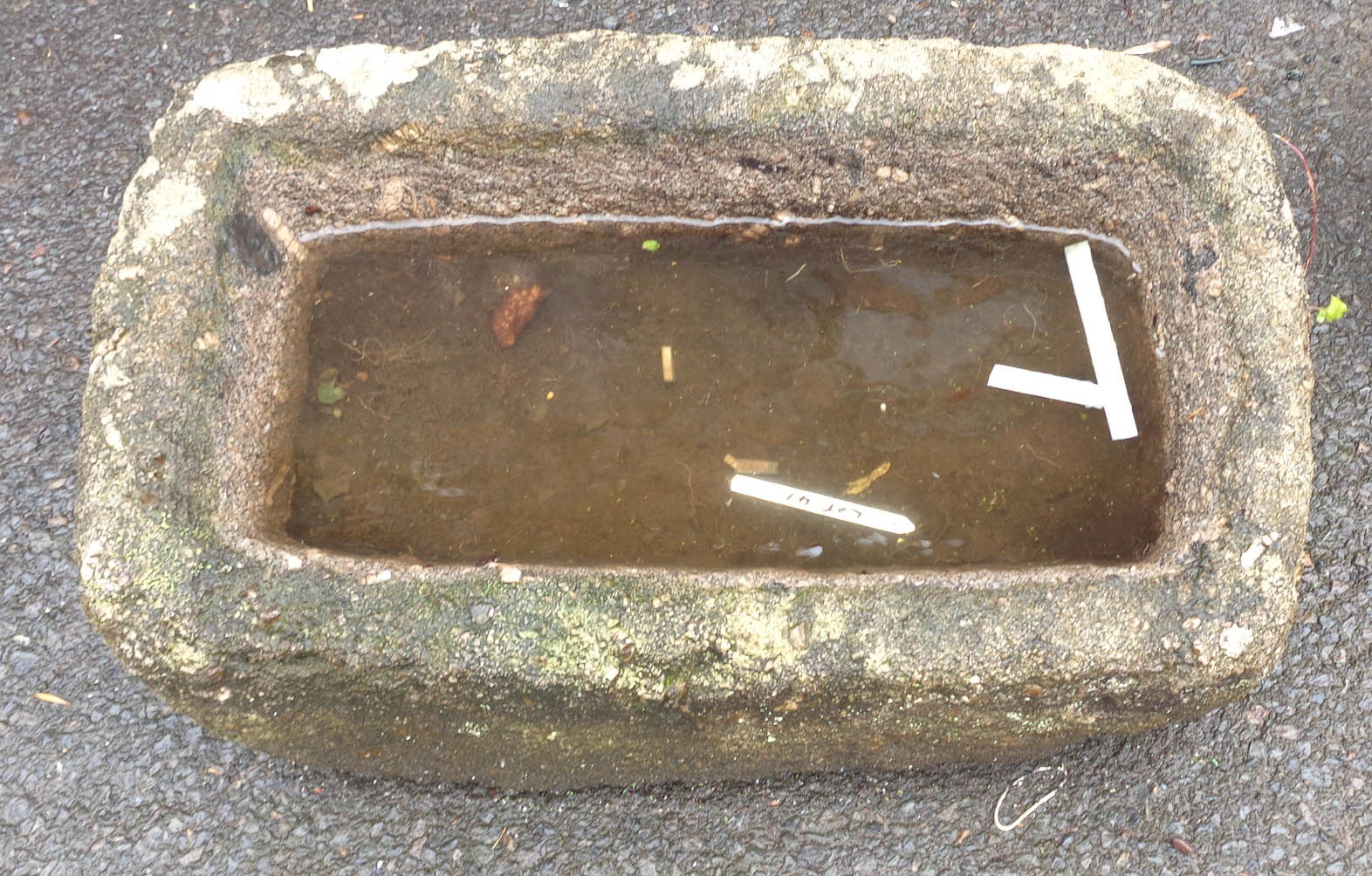 A 77cm old concrete trough