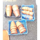 Three trays of small terracotta garden pots