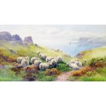 Tom Rowden: a gilt framed and slipped watercolour, depicting sheep on cliffs above Torbay - signed -
