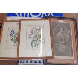 A pair of framed vintage floral study watercolours - sold with a Hogarth framed antique steel