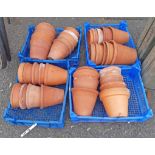 Four trays of terracotta pots