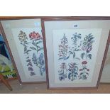 A pair of framed multi-image polychrome floral study reprints