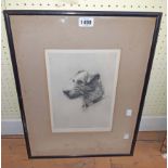 H. Goffey: a framed drypoint monochrome etching entitled Cats!, depicting a terrier dog - signed and