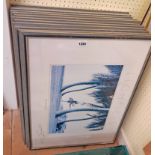 Twelve framed Patrick Litchfield photo prints, all with facsimile signatures - some with sunlight