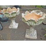 A pair of old terracotta garden urns of acanthus leaf form on tapered pedestal base