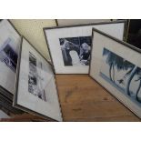 Twelve framed Patrick Litchfield photo prints, all with facsimile signatures - some with sunlight