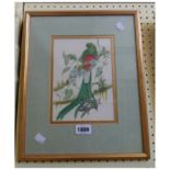 L. de Gallegos: a gilt framed watercolour bird study of a perching bird of paradise - 21cm X 15cm